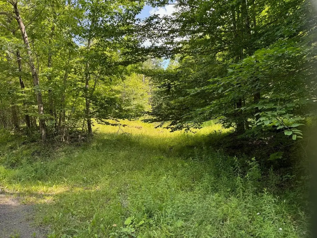 130 William Law Road, Windsor, NY 13865 - #1