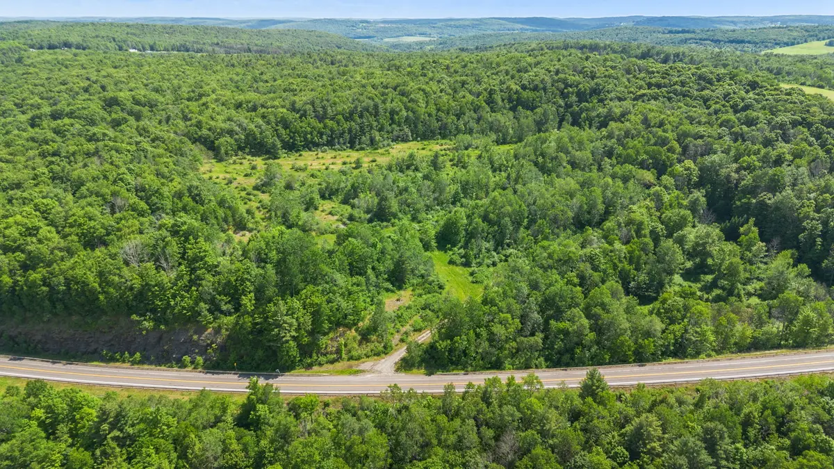3492-3494 State Route 206, Whitney Point, NY 13862 - #1