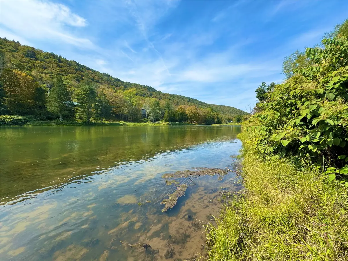 10-48 Evans Road, Hancock, NY 13783 - #1
