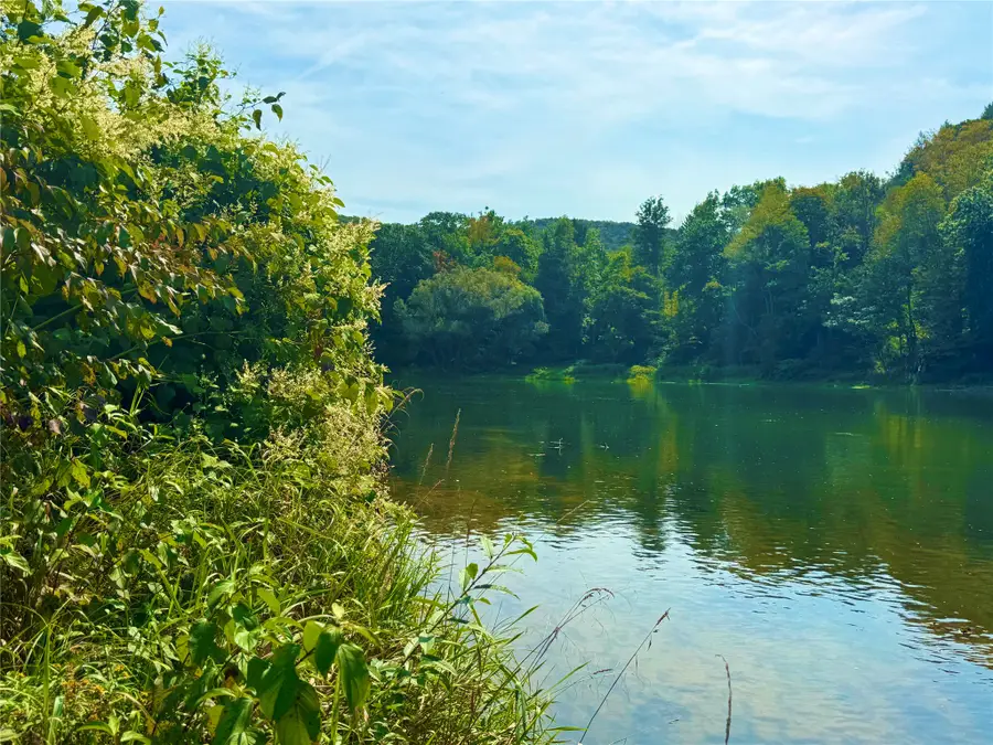 10-48 Evans Road, Hancock, NY 13783 - #2