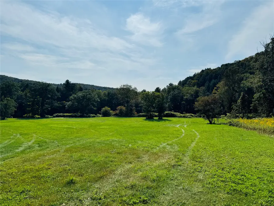 10-48 Evans Road, Hancock, NY 13783 - #3