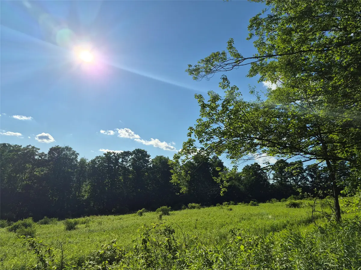 3545 Hubbards Hill Road, Cincinnatus, NY 13040 - #1