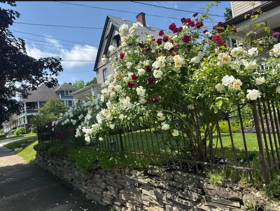 25 Roosevelt Avenue, Binghamton, NY 13901 - #3