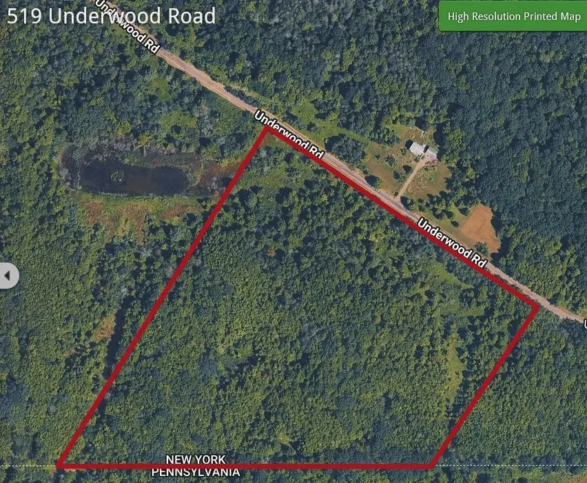 514 Underwood Road, Vestal, NY 13850 - #1