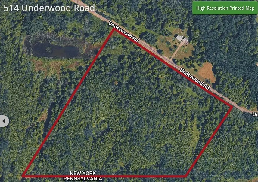 514 Underwood Road, Vestal, NY 13850 - #2