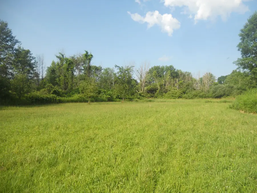 00 Gridleyville Road, Spencer, NY 14883 - #2