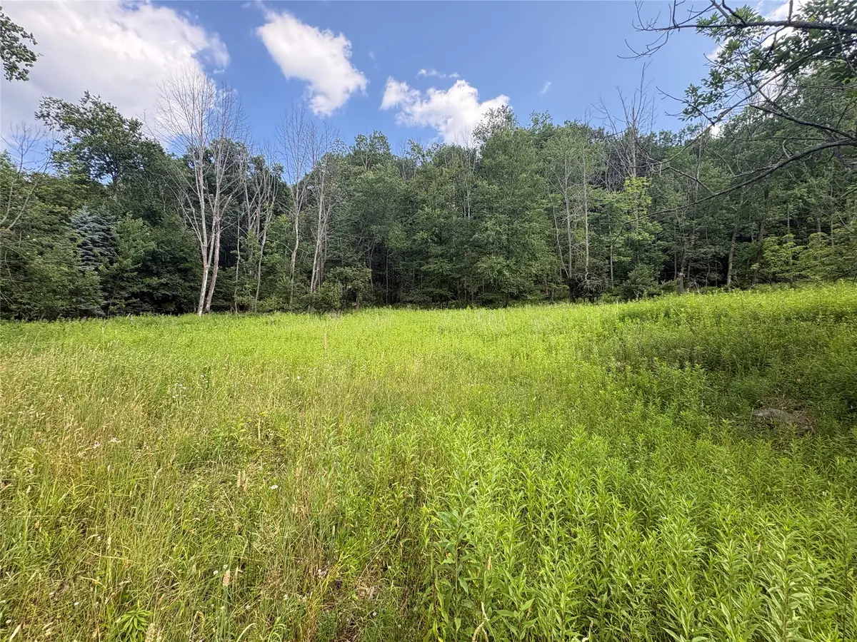 1305 Holly Hill Rd, Vestal, NY 13850 - #1