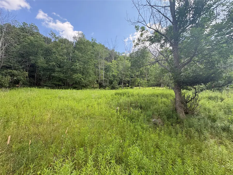 1305 Holly Hill Rd, Vestal, NY 13850 - #2
