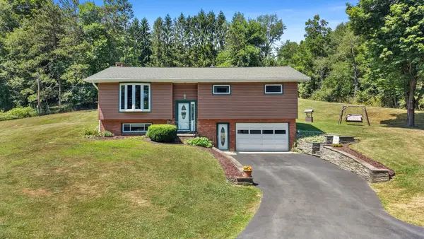 126 Palmer Curtis Rd, Greene, NY 13778
