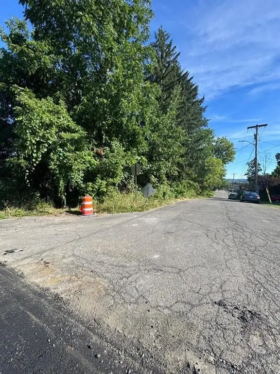 721 N Rogers Avenue, Endicott, NY 13760