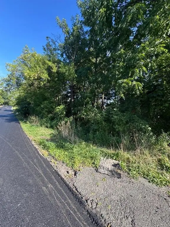 721 N Rogers Avenue, Endicott, NY 13760 - #2