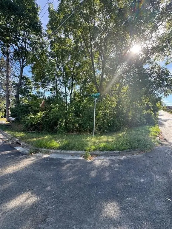 721 N Rogers Avenue, Endicott, NY 13760 - #3