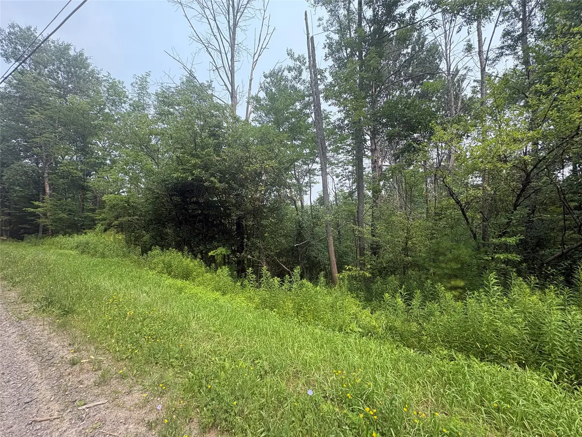 0 Ketchumville Rd, Newark Valley, NY 13811 - #1