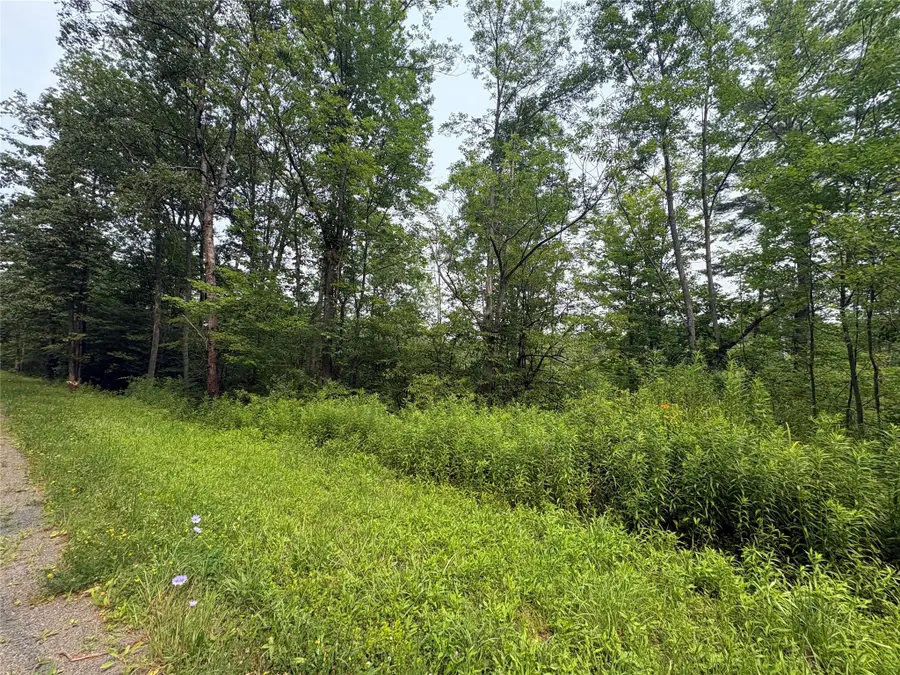 0 Ketchumville Rd, Newark Valley, NY 13811 - #2