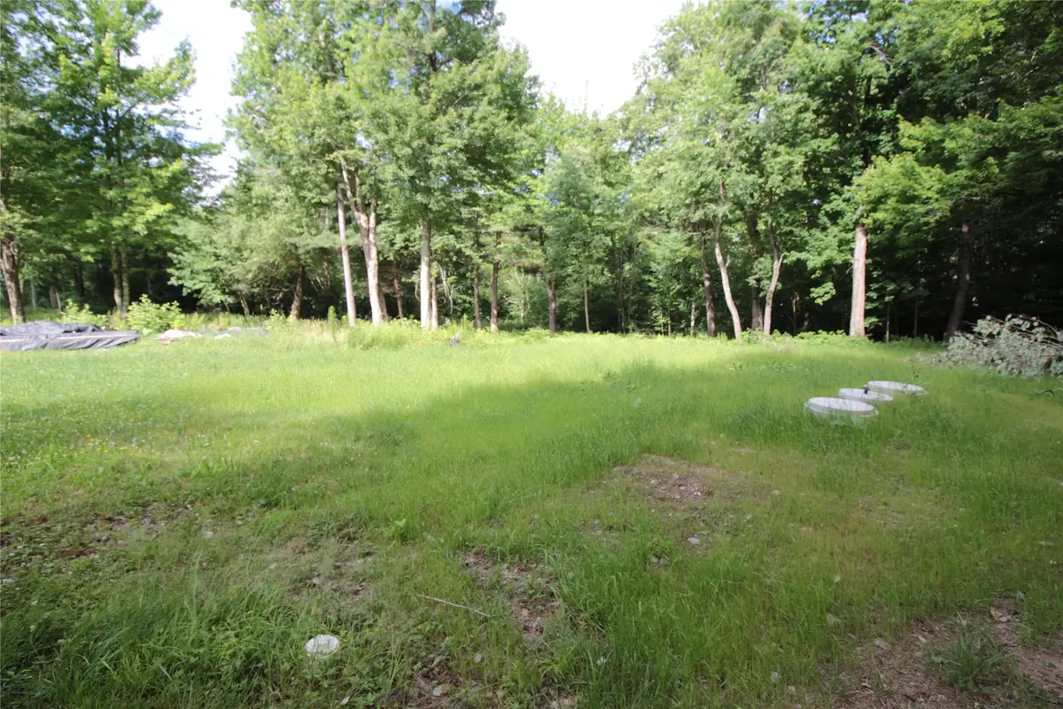 0 Collyer Road, Greene, NY 13778 - #1