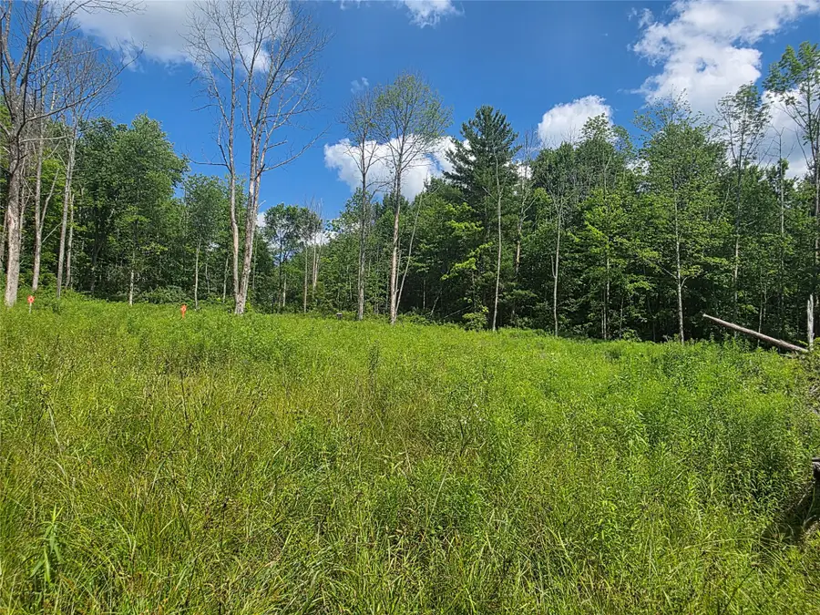 422 Blackman Hill Rd, Berkshire, NY 13736 - #2