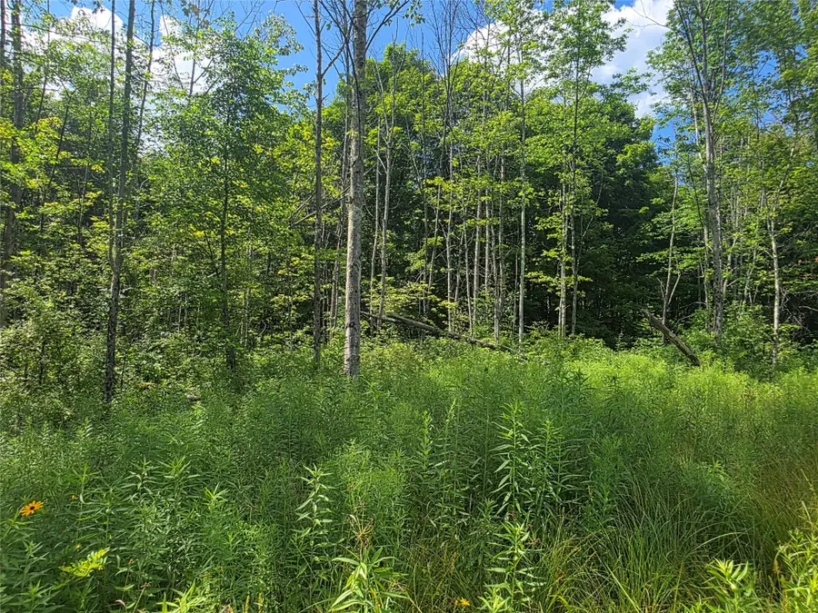 422 Blackman Hill Rd, Berkshire, NY 13736 - #3