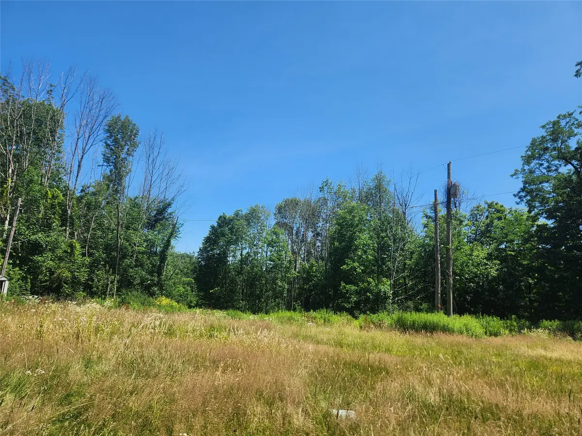 51 Bennett Road, Windsor, NY 13865 - #1