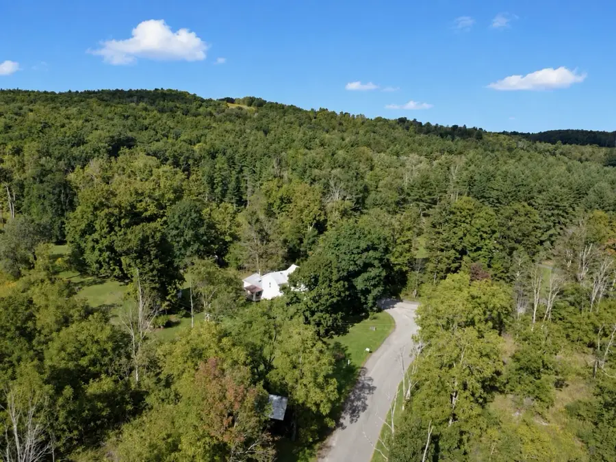 1107 Ivory Foster Road, Owego, NY 13827 - #3