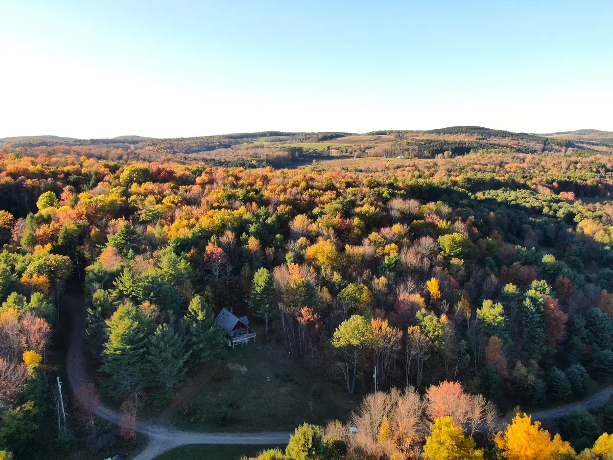 260 Log Cabin Lane, South New Berlin, NY 13843 - #1