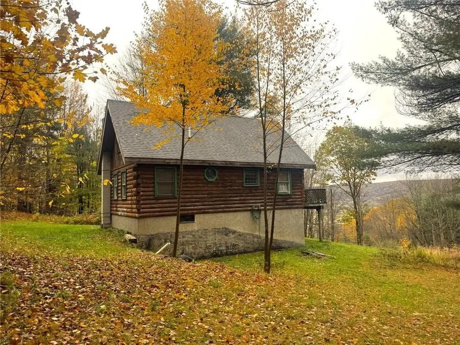 260 Log Cabin Lane, South New Berlin, NY 13843 - #2