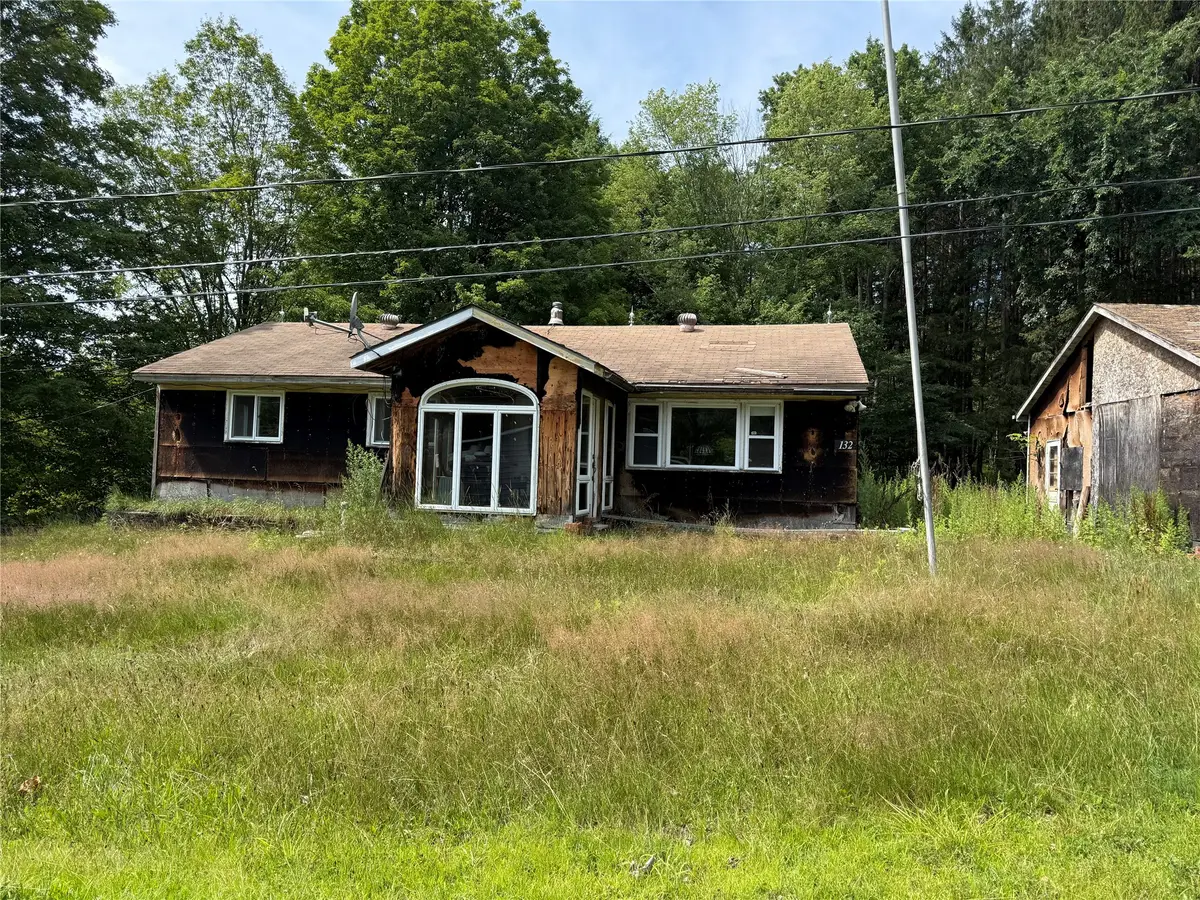 132 Fino Hill, Hancock, NY 13783 - #1