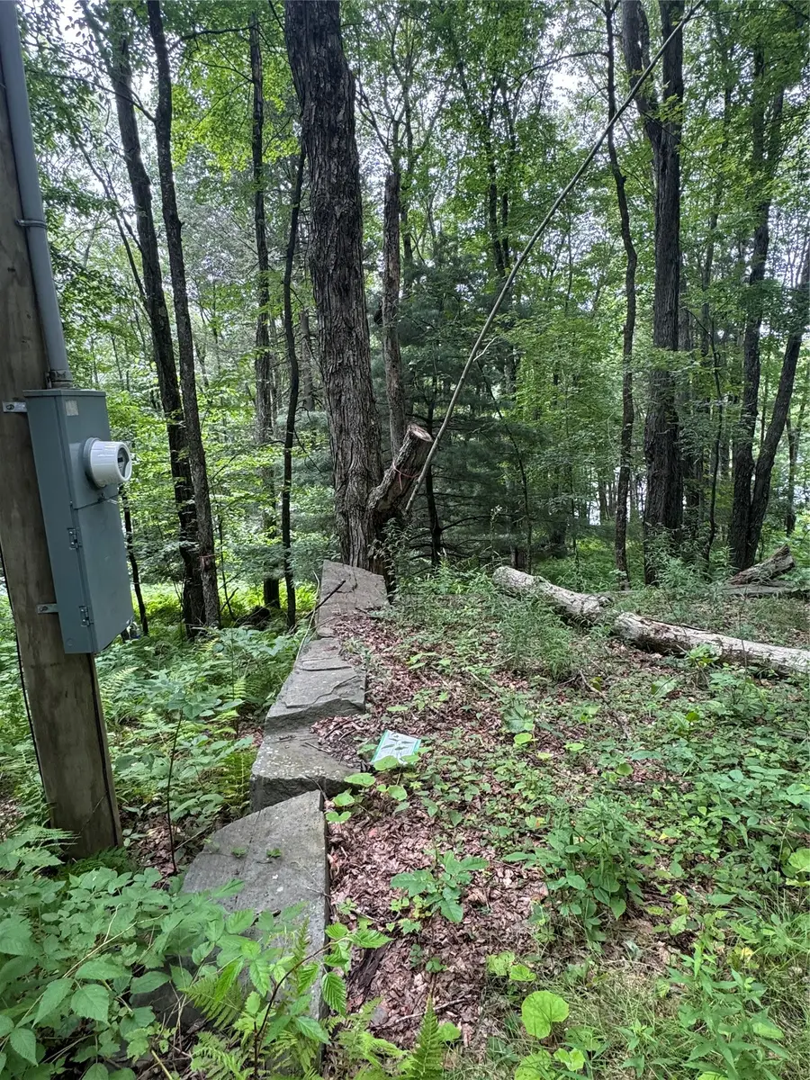 65 Blueberry Drive, Deposit, NY 13754 - #2