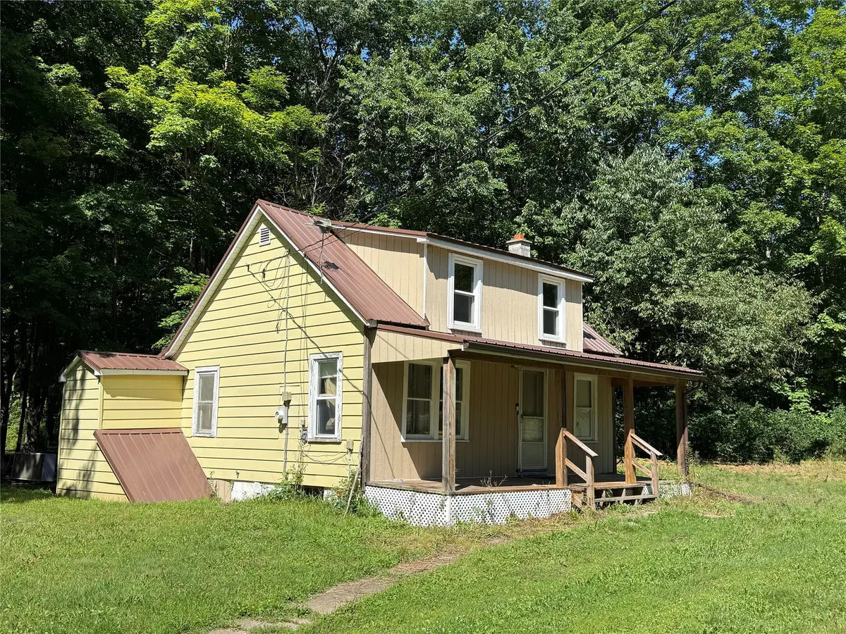 105 Ganoungtown Road, Port Crane, NY 13833 - #1