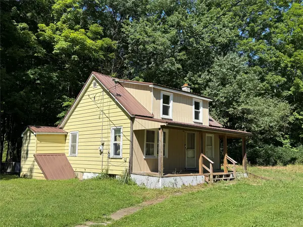 105 Ganoungtown Road, Port Crane, NY 13833
