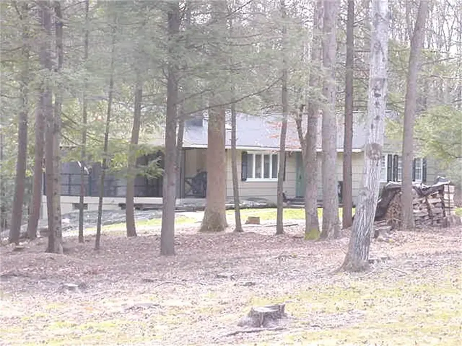 241 Pine Tree Drive, Owego, NY 13827 - #2