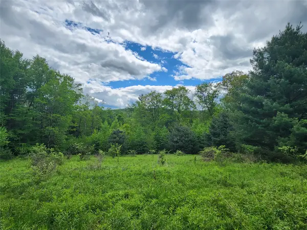0 Race Road, Greene, NY 13778