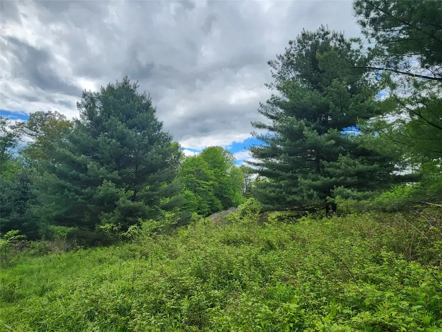0 Race Road, Greene, NY 13778 - #2