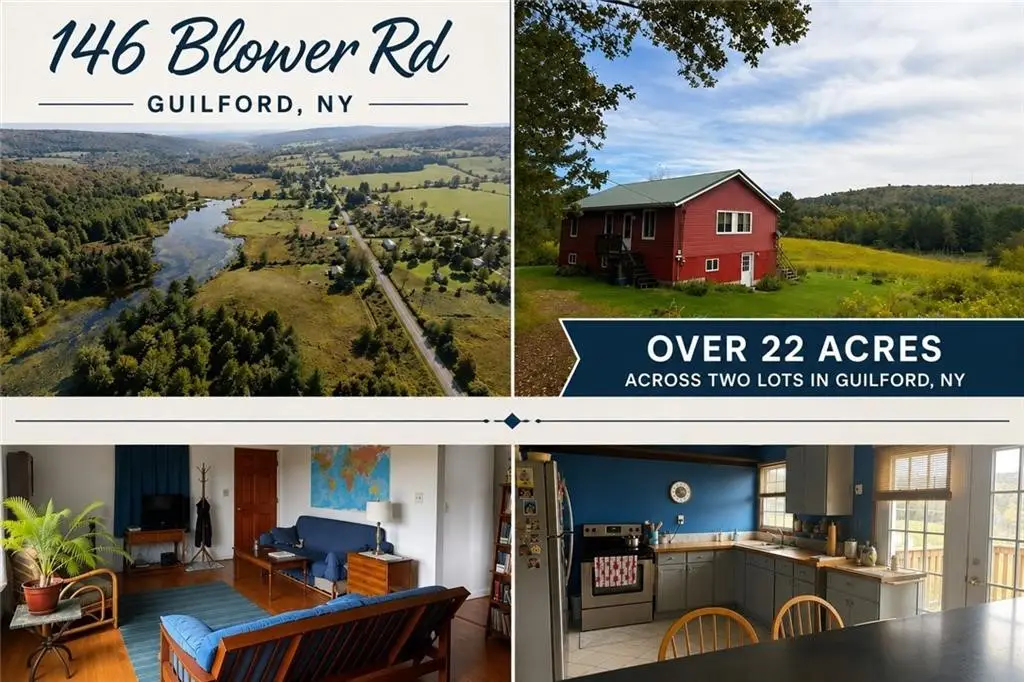 146 Blower Road, Guilford, NY 13780 - #1