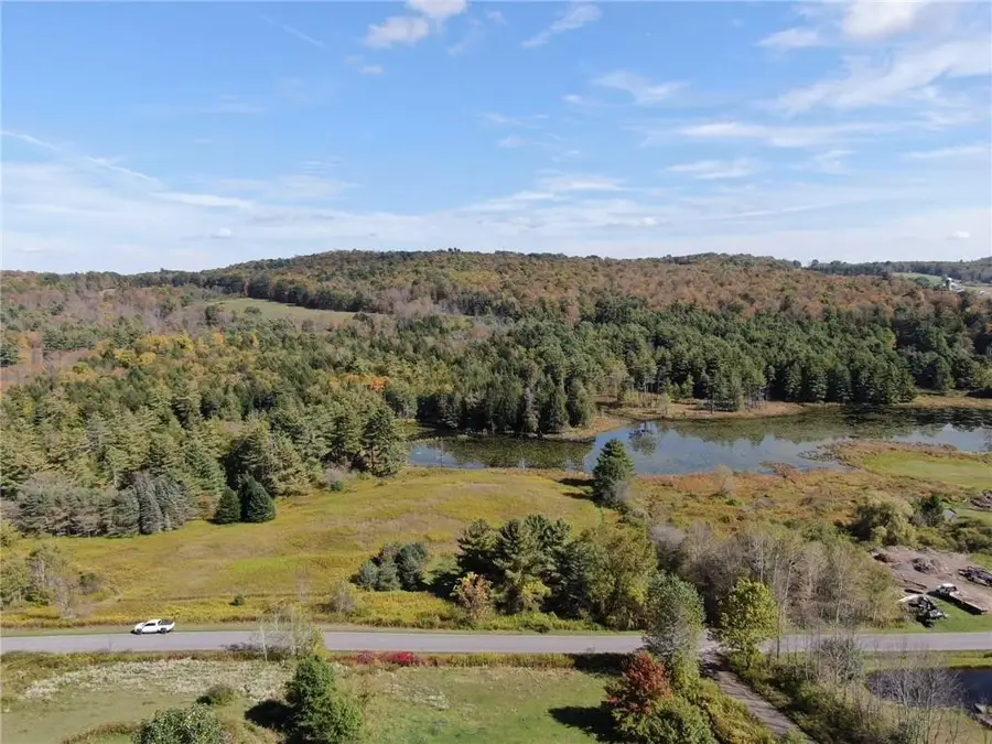 146 Blower Road, Guilford, NY 13780 - #2