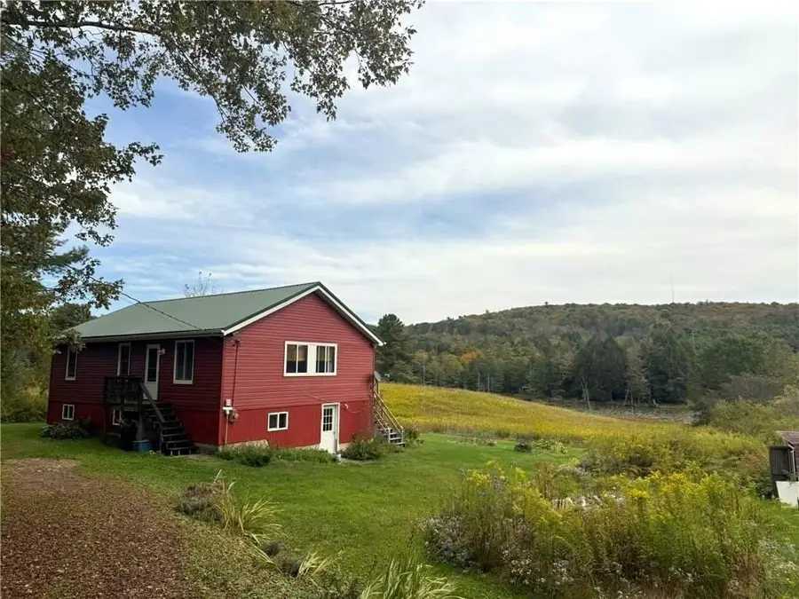 146 Blower Road, Guilford, NY 13780 - #3