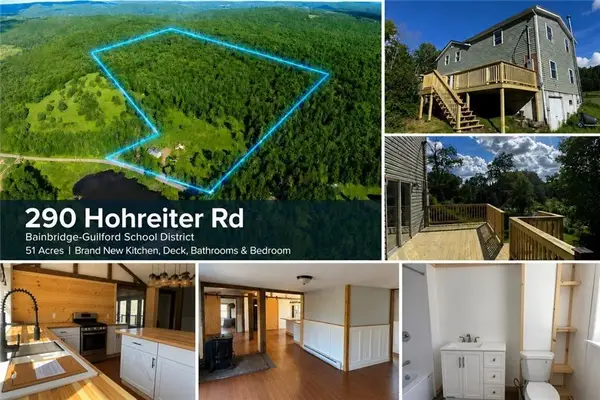 290 Hohreiter Road, Bainbridge, NY 13733