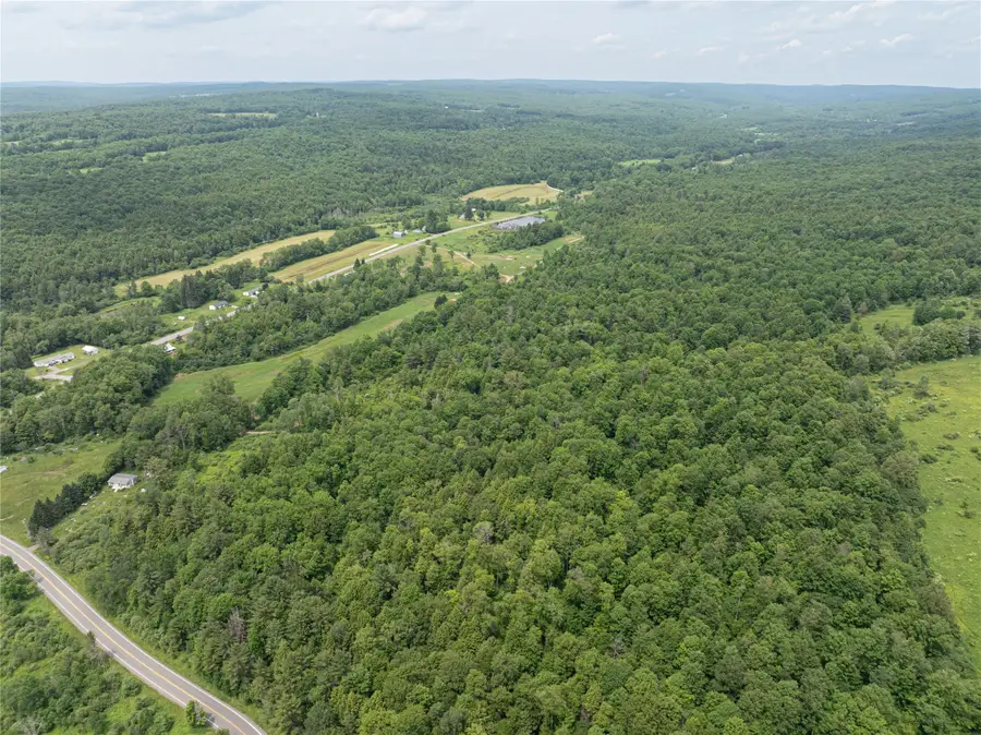 164 County Road 8, McDonough, NY 13801 - #3