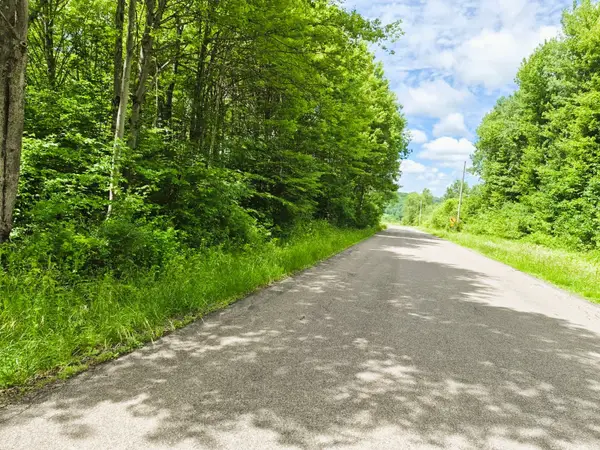6024 Mcfarlane Road, Cincinnatus, NY 13040