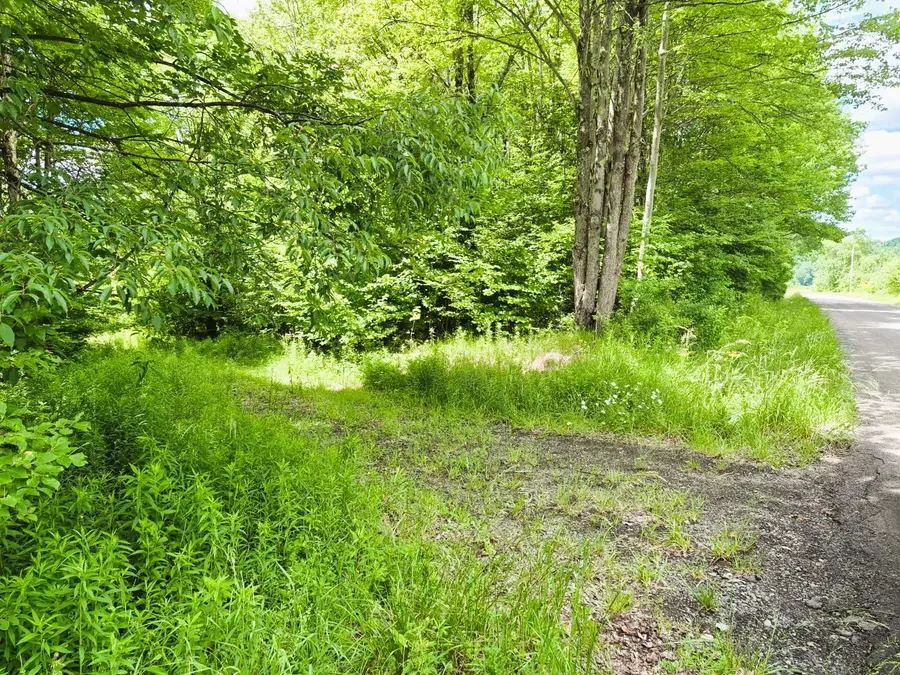 6024 Mcfarlane Road, Cincinnatus, NY 13040 - #3
