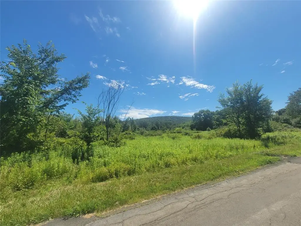 112 Carlin Road, Conklin, NY 13748 - #1