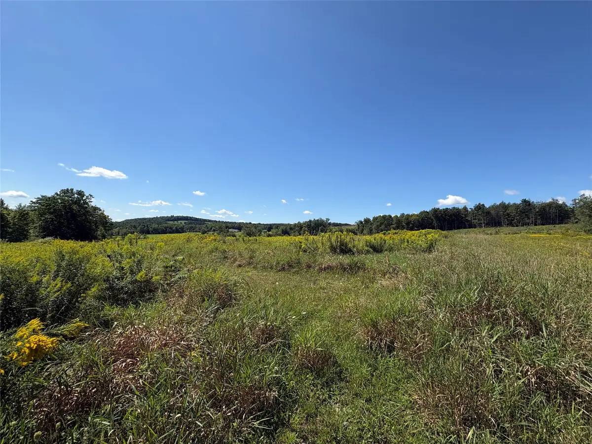 175 Porter Hollow Road, Port Crane, NY 13833 - #1