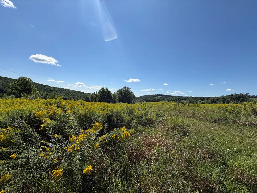 175 Porter Hollow Road, Port Crane, NY 13833 - #2