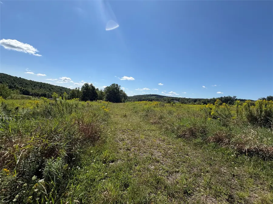 175 Porter Hollow Road, Port Crane, NY 13833 - #3