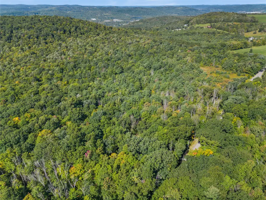 299 Burts Road, Kirkwood, NY 13795 - #3