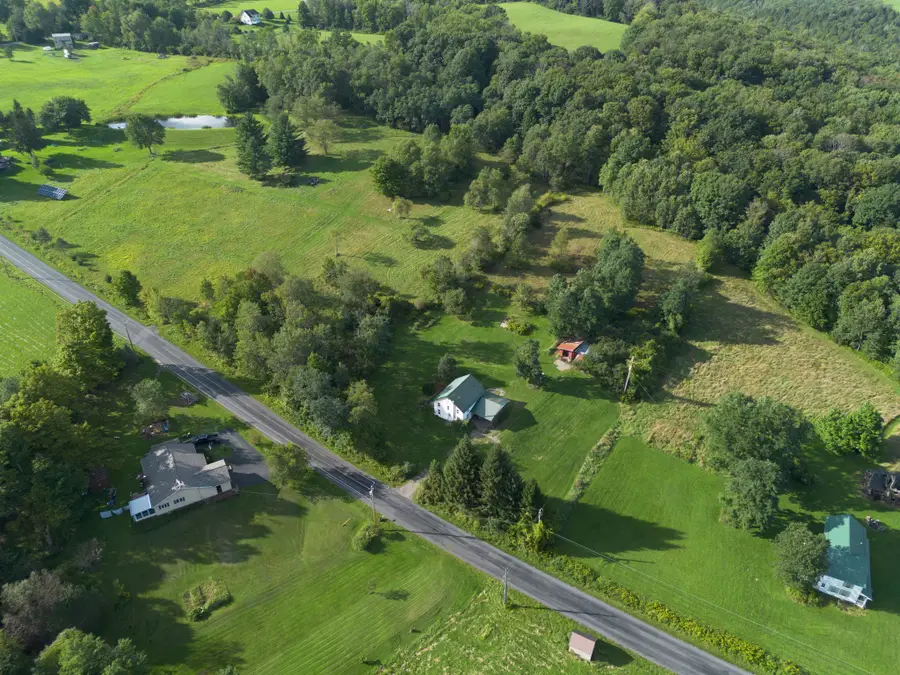 447 Foster Hill Road, Greene, NY 13778 - #3