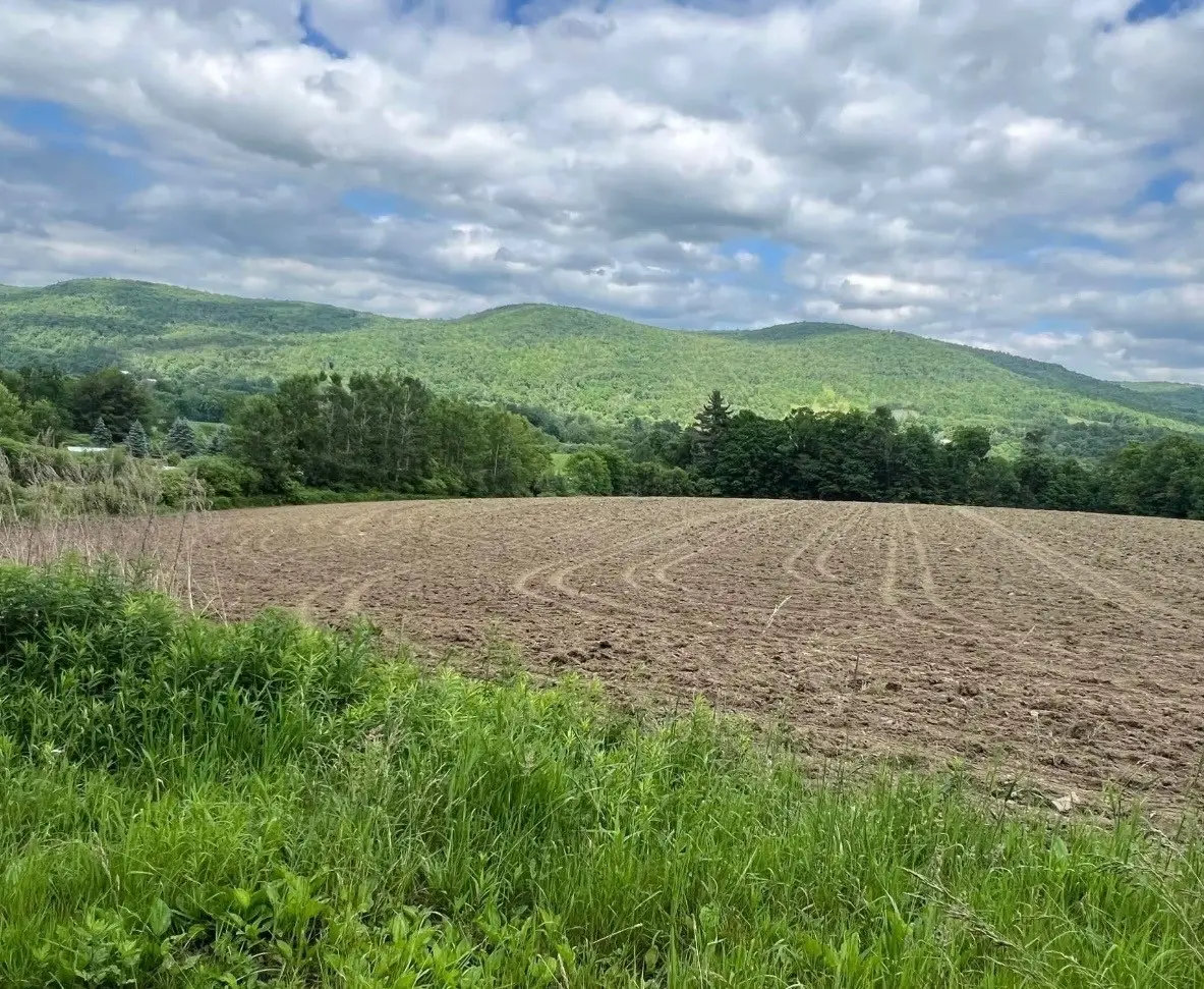 267 State Route 79 Route, Windsor, NY 13865 - #1