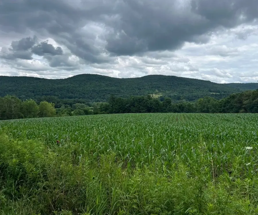 267 State Route 79 Route, Windsor, NY 13865 - #2