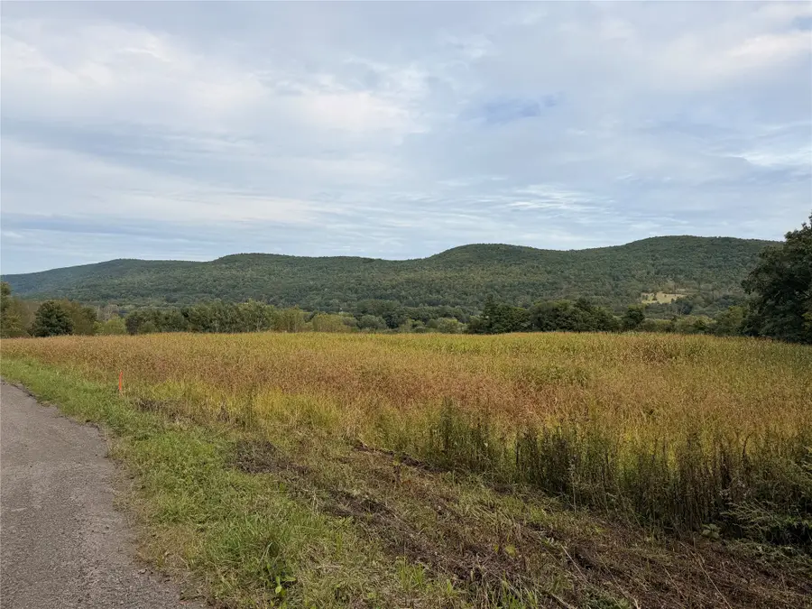 267 State Route 79 Route, Windsor, NY 13865 - #3