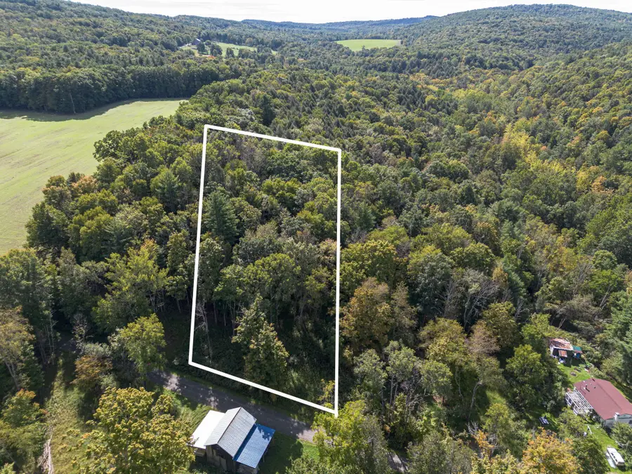 434 Shipman Road, Nichols, NY 13812 - #2
