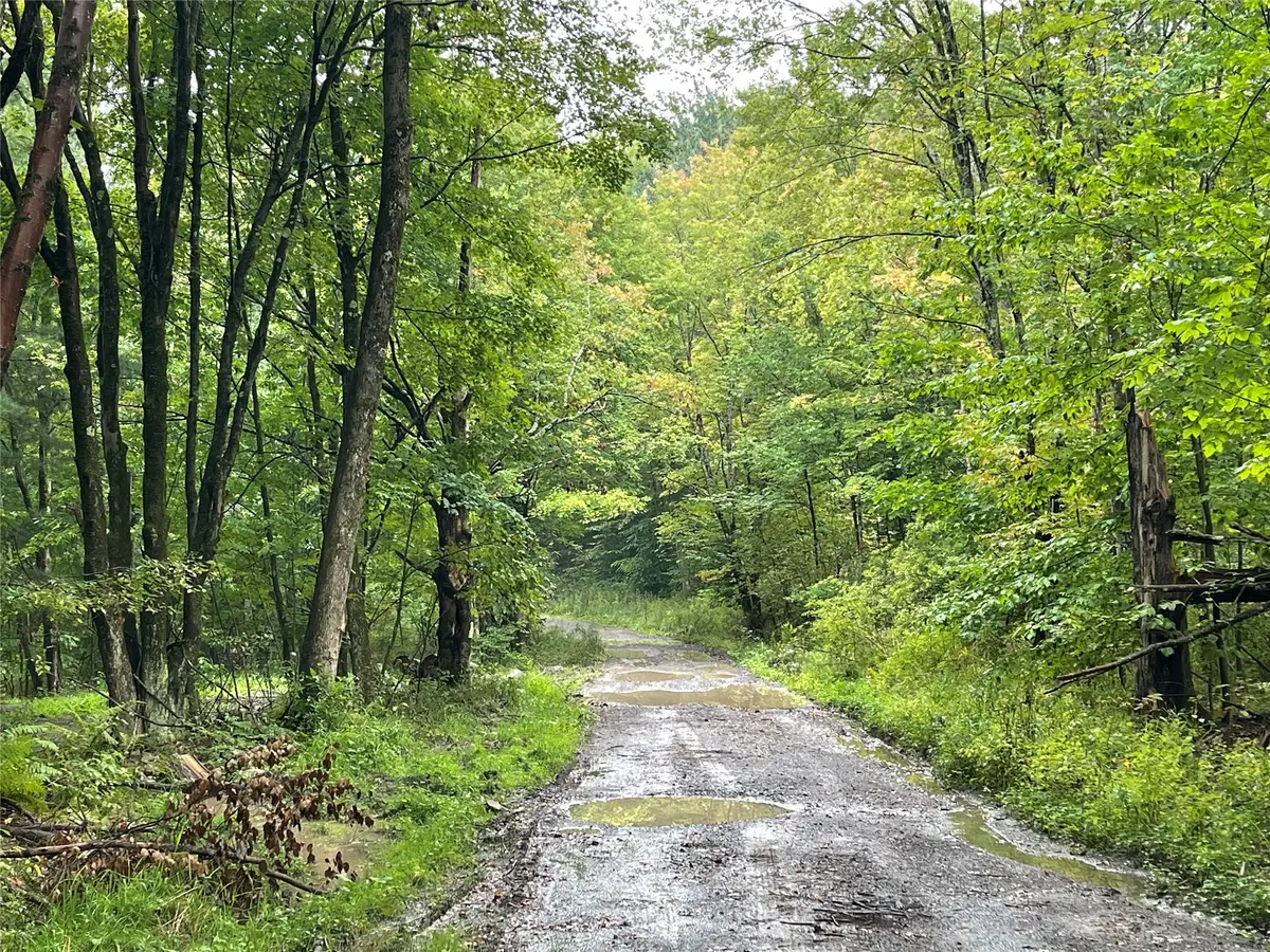 0 Gendenning, Coventry, NY 13778 - #1